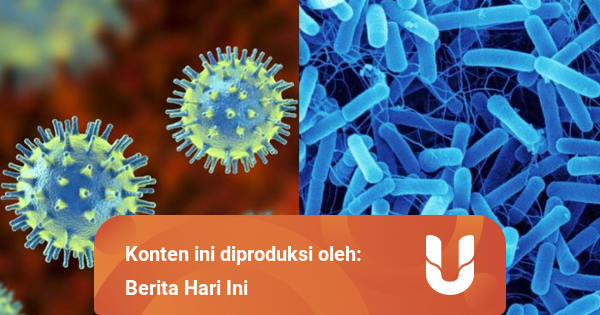 Perbedaan Virus dan Bakteri  yang Patut Diketahui 